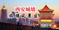 欧美性爱视频十八禁群交双龙入洞中国陕西-西安城墙旅游风景区